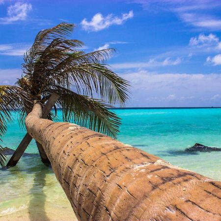 Hotel Ci-Ritorno View Maafushi Exterior foto